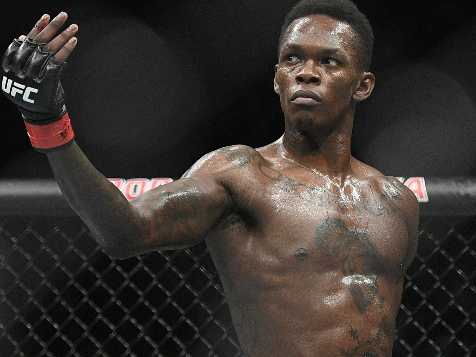 Israel Mobolaji Temitayo Odunayo Oluwafemi Owolabi Adesanya (born 22 July 1989) is a Nigerian-born New Zealand professional mixed martial artist, and ...